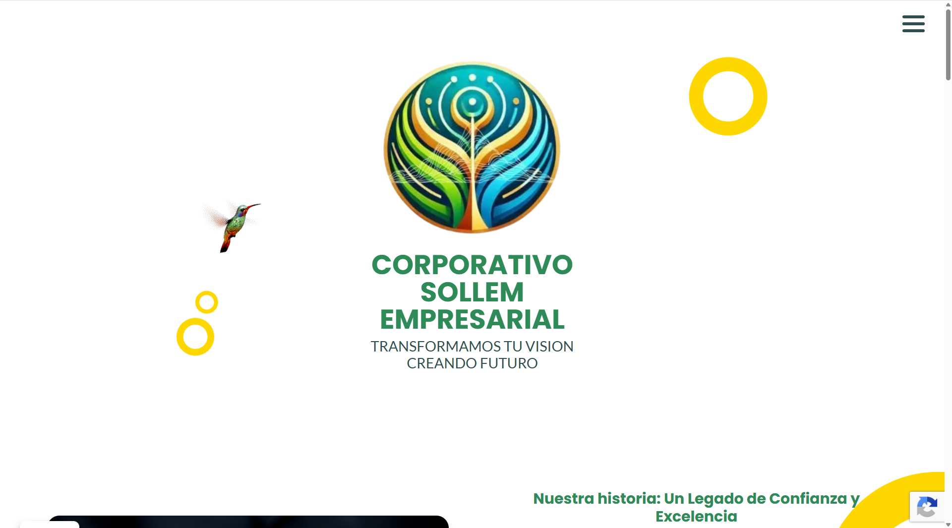 Screenshot del sitio web de Corporativo Sollem